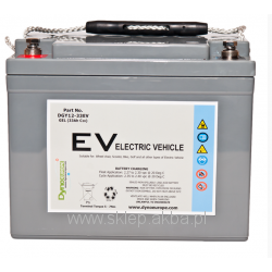 DGY 12-33EV (12V 33Ah)